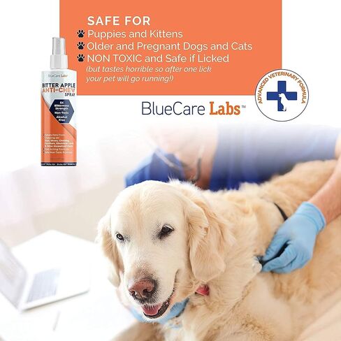 Bitter Apple Spray for Dogs to Stop Chewing Furniture (Made in The USA) - No Chew Spray for Dogs for Plants Paws & Hot Spots Alcohol-Free - No Sting Formula 8oz in Kuwait