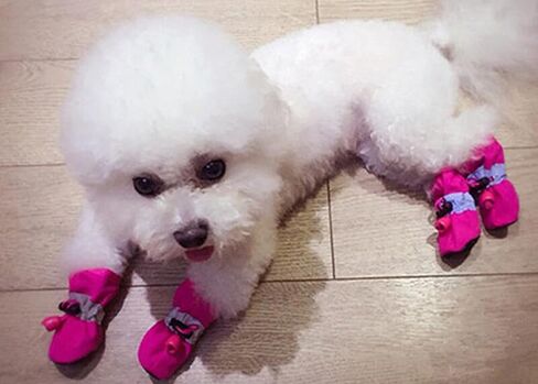 Soft Small Dog Shoes, Puppy Lightweight Shoes for Summer & Winter, Non Skid Kitten Booties for Walking Pink Size 7 in Saudi Arabia