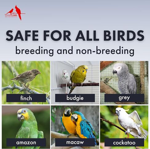 Morning Bird Stronger Bones & Eggshells, Calcium Carbonate for Breeding and Non-Breeding Birds, Promotes Healthy Bone Growth, 10 oz in Saudi Arabia