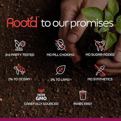 Root'd Multivitamin Powder for Men - 24 Vitamins & Minerals with 3X Electrolytes, 9 Organic Superfoods, Probiotics & Enzymes, Sugar-Free Multivitamin & Hydration | 30 Vitamin Drink Mix Packets in Kuwait