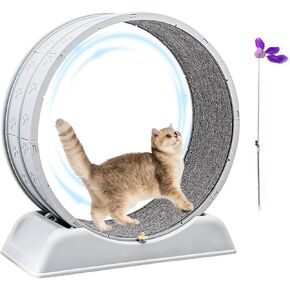 Cat Wheel Exerciser عجلات Cat Treachly Cat للقطط الداخلية تمرين العجلة القط الداخلي عجلات تشغيل للقطط الداخلية الرمادية