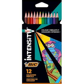 BIC Color Up Pencils - ألوان متنوعة ، حزمة من 12