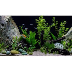 Underwater Aquarium Background Roots Cobblestone Under Water Aquatic Plants Fish Tank Background Seagrass Rock Stone Aquarium Tank Enclosure Background Under The Sea Marine Tank Wallpaper 24x12in
