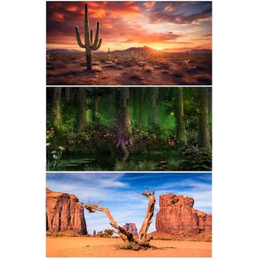3 Pack Reptile Habitat Background Sunset Desert Terrarium Background Fantasy Forest Aquarium Background Gobi Sunshine Cactus Stone Green Fern Lizard Tank Terrarium Background 48x24in