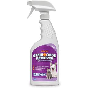 Stain And Odor Remover - 16 oz Ready to Use Spray - Lavender Scented Pet Odor Eliminator for Carpet, Floor and Furniture by Alpha Tech Pet