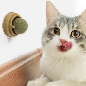 كرات Catnip Ball Magic Cats كرات Cat nip ، جدار ملصق ذاتي الجدار 260 درجة قابلة للدوار جدار Catnip Ball ، لعبة التسنين هريرة لألعاب Catnip Cleaning أسنان هريرة (قطعة واحدة)