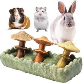 4PCS Guinea Pig Chew Toys, Prevent Teeth Overgrowth, Natural Vegetables and Timothy Grass, Hamster Chew Toys, Guinea Pig Toys, Chinchilla Toys, Grass Patch & Flowers
