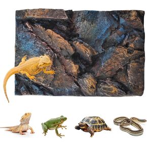 خلفية الصخور Terrarium ، ثلاثية الأبعاد زواحف خلفية لوحة البرمائيات الستريو الخلفية الجدار الزواحف الزواحف الزجاجي ديكور الديكور الزواحف gecko الضفدع السحلية