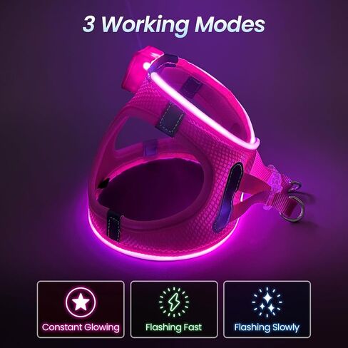 Pceotllar LED Dog Harness - Rechargeable, Flashing Light, No Pull, Reflective - Small/Medium, Pink in Kuwait