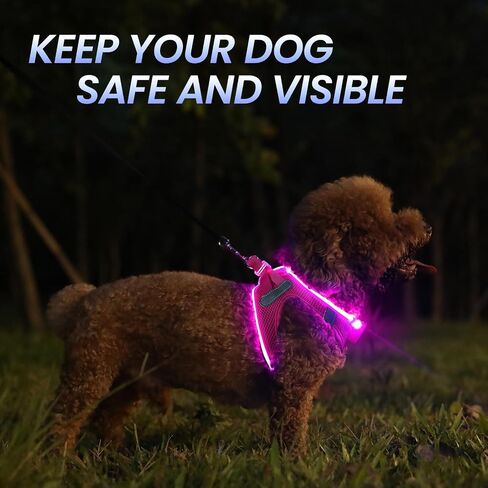 Pceotllar LED Dog Harness - Rechargeable, Flashing Light, No Pull, Reflective - Small/Medium, Pink in Kuwait