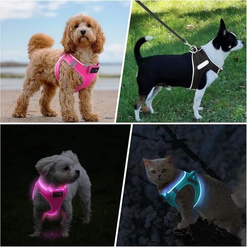 Pceotllar LED Dog Harness - Rechargeable, Flashing Light, No Pull, Reflective - Small/Medium, Pink in Kuwait