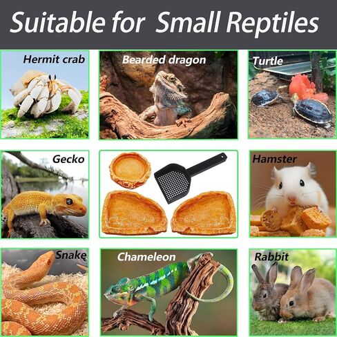 4 Pack Corner Reptile Water Dish Reptile Food Bowl Hermit Crab Food and Water Bowl Small Reptile Feeding Dish for Lizard Bearded Dragon Leopard Gecko Turtle Terrarium Accessories with Scoop Orange in Saudi Arabia