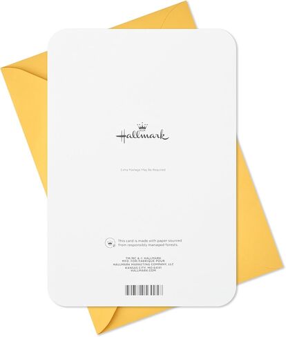 Hallmark 4th Birthday Card for Kids (Fuzzy Number) in Saudi Arabia