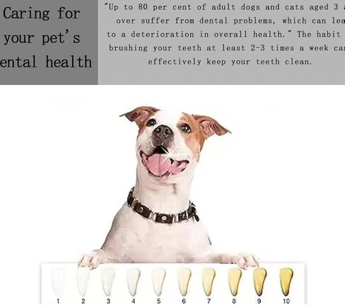 4 PCS Small Dog Toothbrush Cat Toothbrush, Puppy Tooth Brushing Kit, Mini Head Soft Dog Tooth Brush, Dog Tooth Brushing Kit for Small to Large Dogs and Cats, Pet Teeth Brush in Bulk in Saudi Arabia