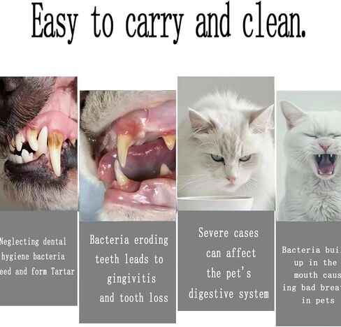 4 PCS Small Dog Toothbrush Cat Toothbrush, Puppy Tooth Brushing Kit, Mini Head Soft Dog Tooth Brush, Dog Tooth Brushing Kit for Small to Large Dogs and Cats, Pet Teeth Brush in Bulk in Saudi Arabia