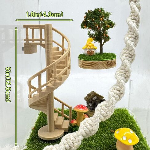 Jumping Spider Enclosure Accessories – Fun Spinning Stairs, Jumping Spider Climbing Toy with Magnetic Mount for Jumping Spider Enclosure Accessory Decoration (Beige) in Kuwait