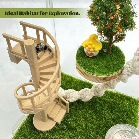 Jumping Spider Enclosure Accessories – Fun Spinning Stairs, Jumping Spider Climbing Toy with Magnetic Mount for Jumping Spider Enclosure Accessory Decoration (Beige) in Kuwait