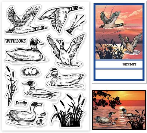 GLOBLELAND سمور سيليكون واضح Stamps حيوانات جميلة شفافة Stamps لبطاقات صنع DIY بها بنفسك سكرابوكينغ ألبوم صور ورق تزيين الحرفية in Kuwait