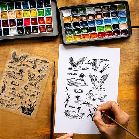 GLOBLELAND سمور سيليكون واضح Stamps حيوانات جميلة شفافة Stamps لبطاقات صنع DIY بها بنفسك سكرابوكينغ ألبوم صور ورق تزيين الحرفية in Kuwait