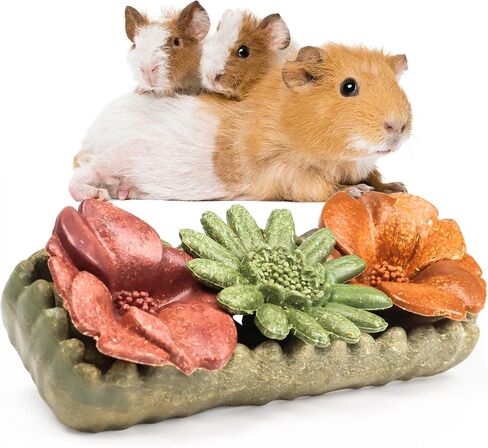 4PCS Guinea Pig Chew Toys, Prevent Teeth Overgrowth, Natural Vegetables and Timothy Grass, Hamster Chew Toys, Guinea Pig Toys, Chinchilla Toys, Grass Patch & Flowers in Saudi Arabia