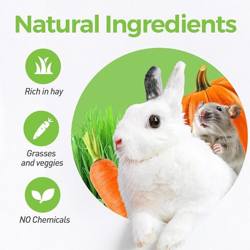 4PCS Guinea Pig Chew Toys, Prevent Teeth Overgrowth, Natural Vegetables and Timothy Grass, Hamster Chew Toys, Guinea Pig Toys, Chinchilla Toys, Grass Patch & Flowers in Saudi Arabia