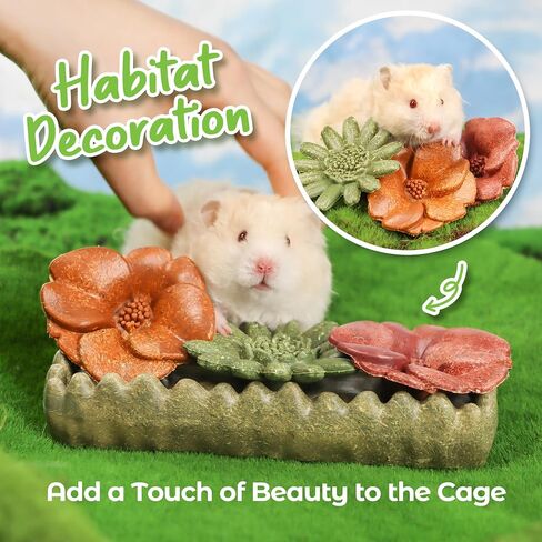 4PCS Guinea Pig Chew Toys, Prevent Teeth Overgrowth, Natural Vegetables and Timothy Grass, Hamster Chew Toys, Guinea Pig Toys, Chinchilla Toys, Grass Patch & Flowers in Saudi Arabia