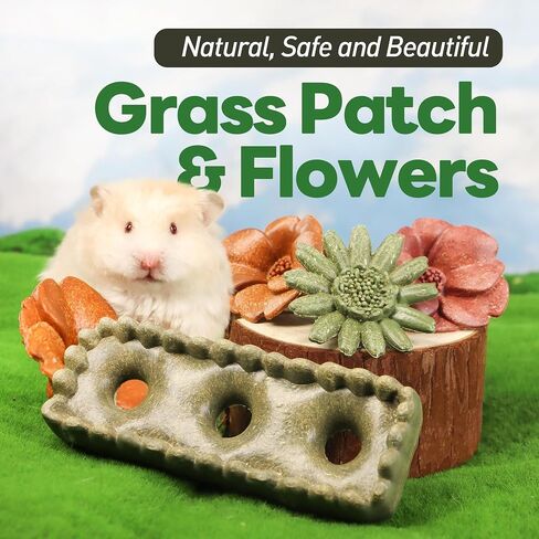 4PCS Guinea Pig Chew Toys, Prevent Teeth Overgrowth, Natural Vegetables and Timothy Grass, Hamster Chew Toys, Guinea Pig Toys, Chinchilla Toys, Grass Patch & Flowers in Saudi Arabia