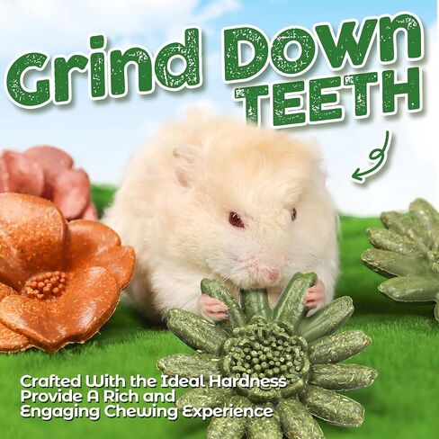 4PCS Guinea Pig Chew Toys, Prevent Teeth Overgrowth, Natural Vegetables and Timothy Grass, Hamster Chew Toys, Guinea Pig Toys, Chinchilla Toys, Grass Patch & Flowers in Saudi Arabia