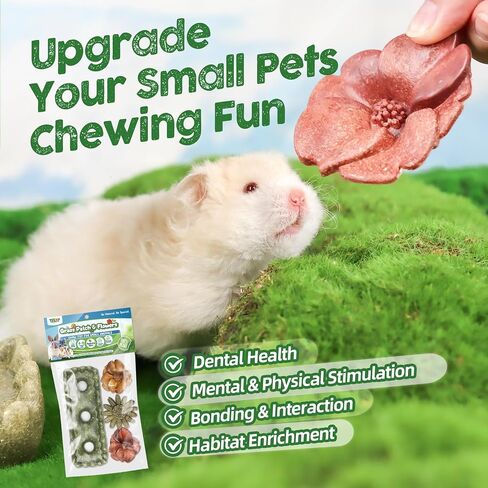 4PCS Guinea Pig Chew Toys, Prevent Teeth Overgrowth, Natural Vegetables and Timothy Grass, Hamster Chew Toys, Guinea Pig Toys, Chinchilla Toys, Grass Patch & Flowers in Saudi Arabia