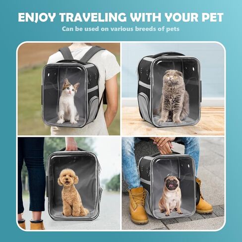 CALL CAT Backpack Carrier Dog and Cats Backpack Pbeble ، حاملة كيس CAT CAPSULE ، حقائب ظهر للحيوانات الأليفة بانوراما للتنفس ومناسبة لركوب الدراجات/السفر/التخييم/المشي (أسود) in Kuwait