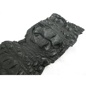 Pelgio أصلي تمساح التمساح Hornback Skin Strap Leather Hide Pelt Black (5.5 "× 44")