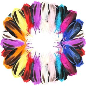 Feelfunfeather 120pcs الريش البطة 4-6 بوصة من الريش الطبيعي للزفاف الحرفي منزل الحفل كرنفال الهالوين الديكور