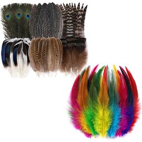 Holmgren 48pcs 6 Styles Natural الريش السائبة و 200pcs 5-7 بوصة ريش الديك الملون للحرف اليدوية DIY Hat Hat Wedding Home Party Decoration