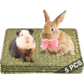 Kathson 5 PCS Rabbit Grass الحصير منسوج أرنب أسرّة طبيعية مضغ ألعاب غينيا الخنزير القش الهامستر قفص سرير سرير للسفن الفئران شينشيلا والحيوانات الصغيرة الأخرى (برتقالي)