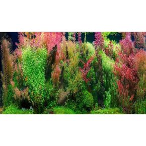Aquarium Background Lush Aquatic Plants Fish Tank Background Undersea Exquisite Tropical Aquatic Plant Branches Terrarium Tank Background Wallpaper Underwater Sea Grass Aquarium Background 24x16in