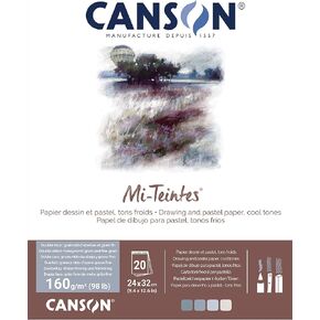 Canson Mi-Teettes Colored Drawing 160gsm 24x32cm Pape Pack ، Side-Side: Honeycomb و Fine Grain ، الجانب القصير الملتصق ، 4 نغمات باردة ، 20 ورقة ، مثالية للفنانين والرسامين المحترفين