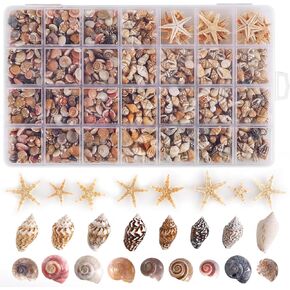 Ppclion 60pcs Tiny Starfish 1800 pcs قذائف البحر الصغيرة الصغيرة الصغيرة لصياغة قذائف القضبان الحلزونية لسحر الحرف اليدوية لزخارف المنزل ديكور شمعة DIY دبوس الأسماك والشرف على الشاطئ