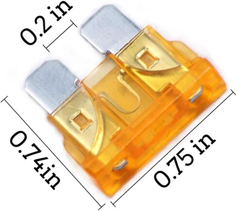 UZAKA 100 Pack Auto Fuses 2 AMP ATC/ATO Standard Regular Fuse Blade 2A Car Truck Boat Marine RV - 100Pack in Saudi Arabia