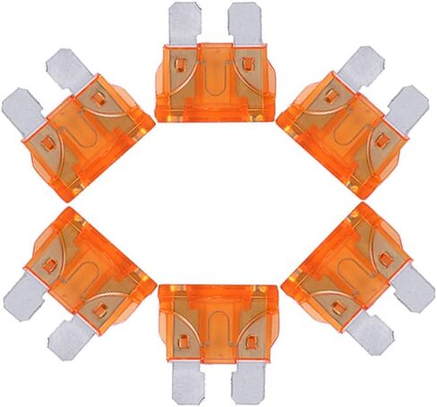 UZAKA 100 Pack Auto Fuses 2 AMP ATC/ATO Standard Regular Fuse Blade 2A Car Truck Boat Marine RV - 100Pack in Saudi Arabia