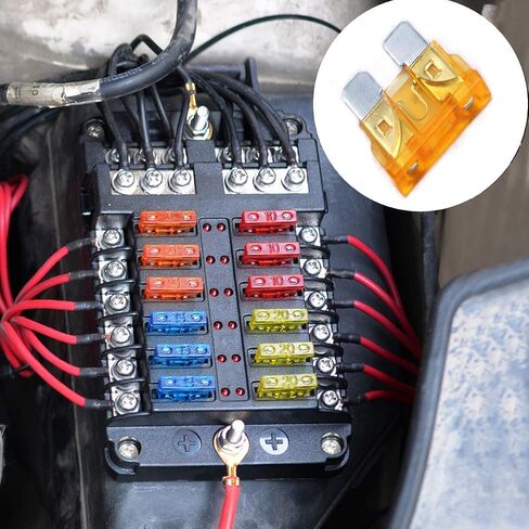 UZAKA 100 Pack Auto Fuses 2 AMP ATC/ATO Standard Regular Fuse Blade 2A Car Truck Boat Marine RV - 100Pack in Saudi Arabia