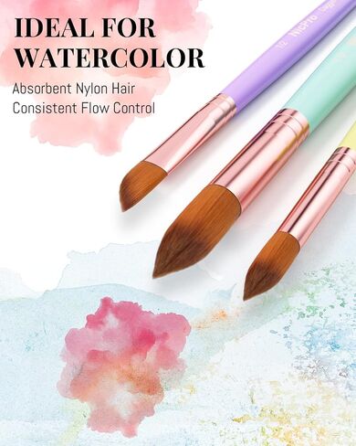 Nicpro 15PCS Watercolor Brushes Set, Soft Synthetic Squirrel Paint Brushes, Professional Water Color Paint Brush, Round, Cat Tongue, Liner, Flat, Wash for Artists, Adult, Watercolor, Inks, Gouache in Kuwait