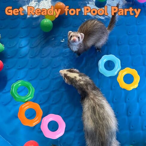 5 Pcs Pool Float for Ferret - Inflatable Swimming Rings Bath Collar Tubes Small Animal Photo Shoot Toys Summer Beach Party Water Fun Swim Rings for Ferrets Small Pets in Saudi Arabia