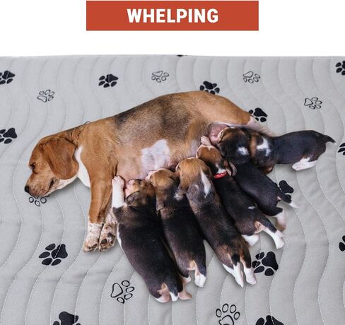 Waterproof Reusable Pets Training Pads Washable Pee Pads for Dogs with Leakproof Bottom, Puppy Pads for Potty Training (1 Pack, 72"x72") in Saudi Arabia