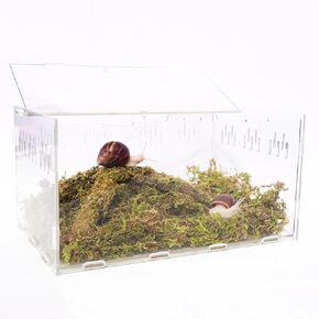 مجموعة Terrarium Snail ، تشمل 11.22 في × 7.87 في × 6 في Snail Terrarium ， 2.1oz Snails Snails Moss ، 9 بوصة قابلة للانحناء ألعاب تسلق الحلزون ، وخلق الموائل المثالية لك لطيف