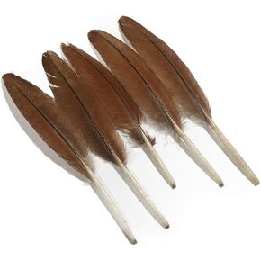 Lampu Natural Turkey Feathers 9-12 inches Crafts hat DIY clothing Decoration per pack of 10