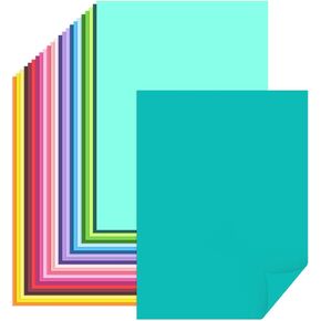 240 Sheets Colored Card Stock Printer Paper A4 & 8.5X11 for Printers,Crafts