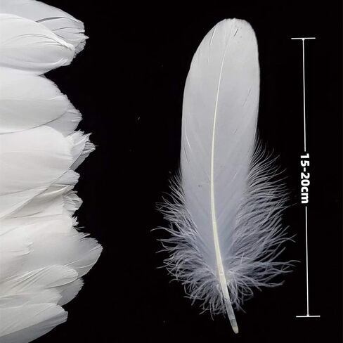 GOODIY Natural Goose Feathers 50 Pcs 6-8 Inch(15-20cm) White Feathers for Mardi Gras Decorations Angel Wings Wedding Party Home DIY Handicrafts Feather Decoration Accessories (White) in Kuwait