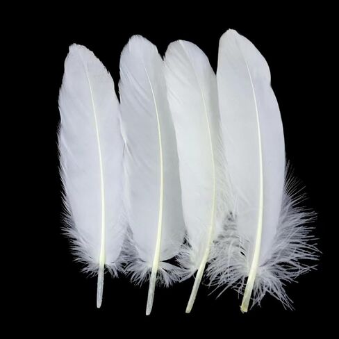 GOODIY Natural Goose Feathers 50 Pcs 6-8 Inch(15-20cm) White Feathers for Mardi Gras Decorations Angel Wings Wedding Party Home DIY Handicrafts Feather Decoration Accessories (White) in Kuwait
