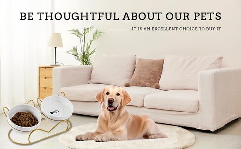 Raised Cat Food Double Bowls with Gold Iron Stand Neck and Whisker Friendly for Small Cats and Puppies Anti-Slip in Saudi Arabia