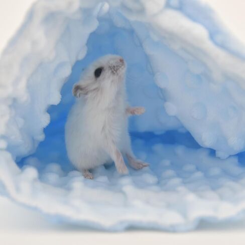 Thick Fleece Ferret Sugar Gliders Hammock Pouch Sack Swing Hanging Bed for Rat Guinea Pig Squirrel and Other Small Animal (Dotted Fleece Blue, One Size) in Saudi Arabia